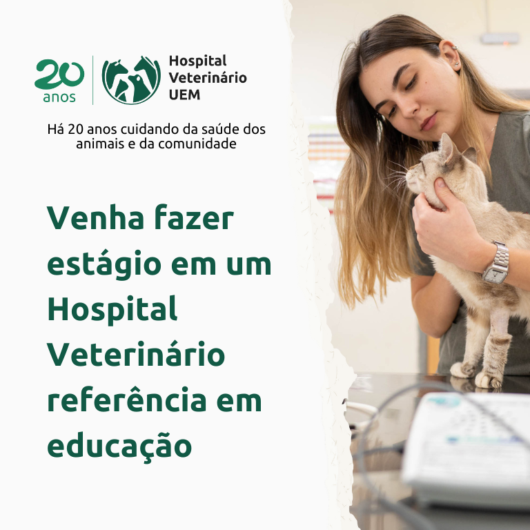 Hospital veterniário da UEM rebece novos equipamentos (3).png