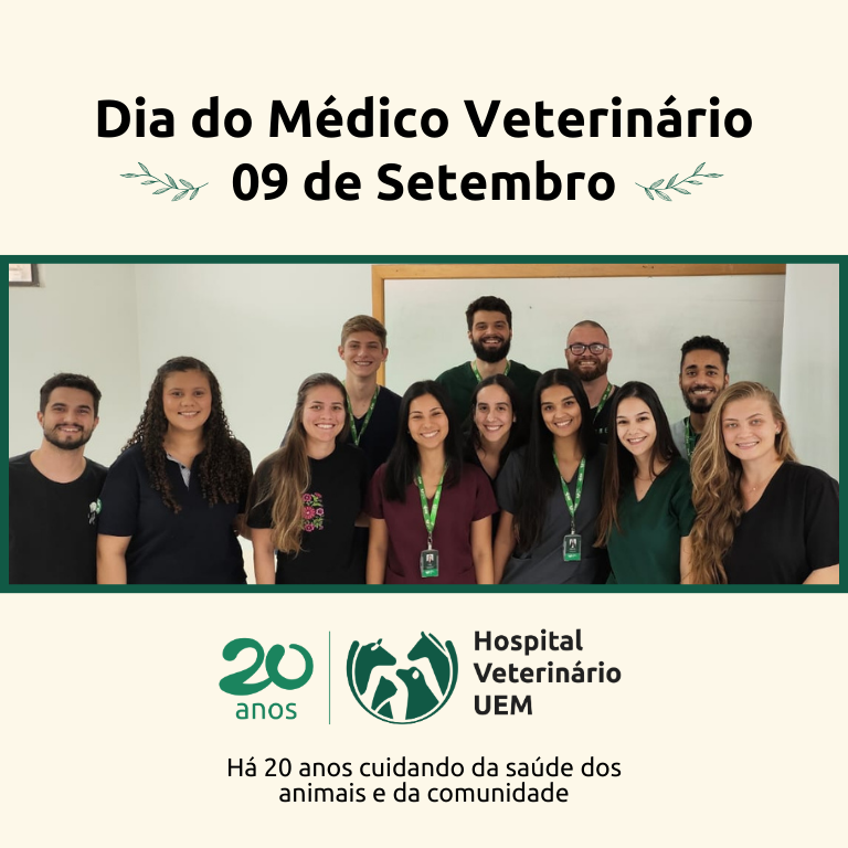 dia_med_vet_2.png